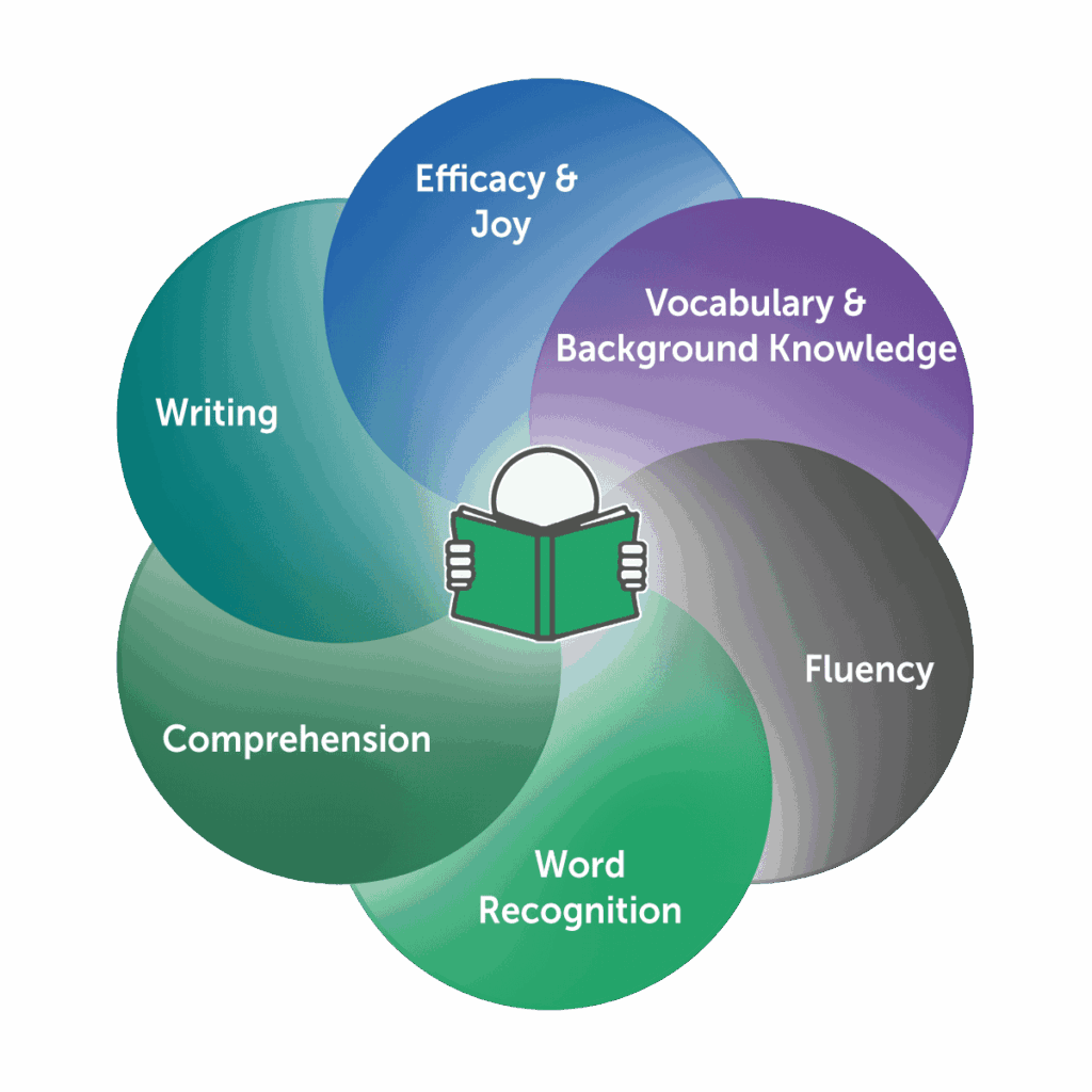 Reading accelerators